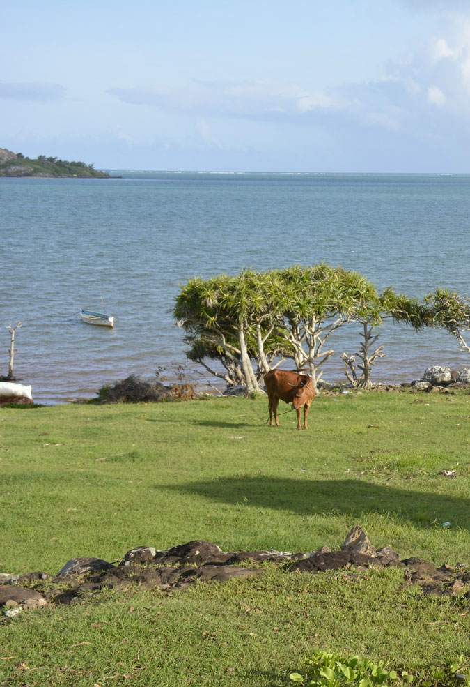 Indalo_Guide_Rodrigues_plage+pre