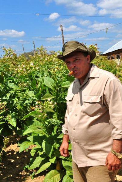 Indalo_Cuba_Activite_Cultivateur-de-tabac
