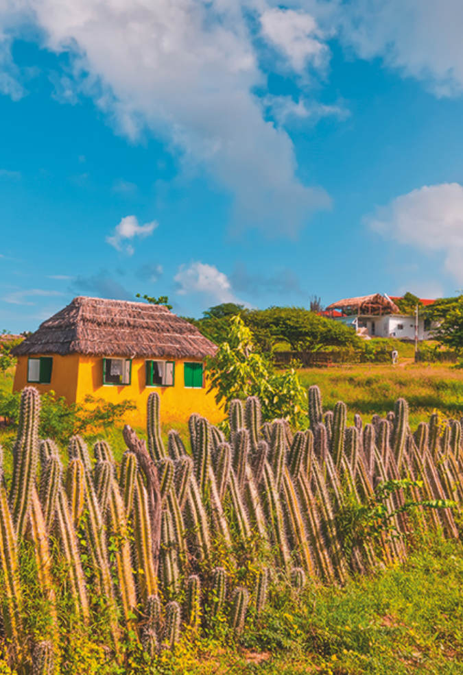 Indalo-Bonaire-Guide-Informations-2