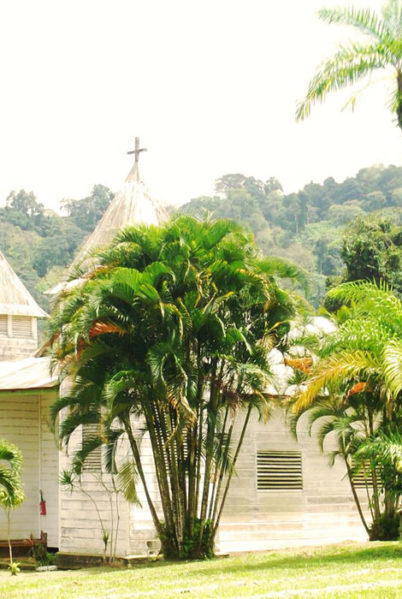 Indalo_Guyane_SAUL3