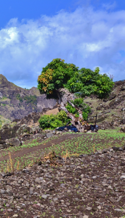 Indalo_Reunion_nature-et-traditions-1