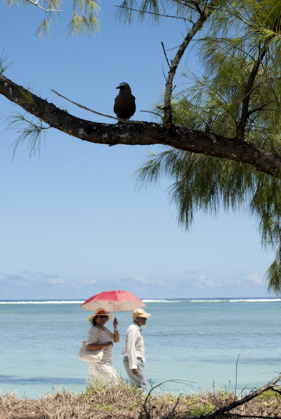 indalo_Ile _aux_cocos- Rodrigues