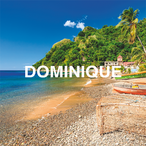 indalo_dominique