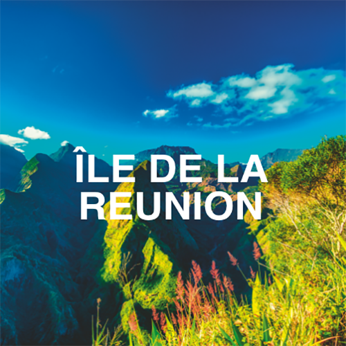 indalo_reunion