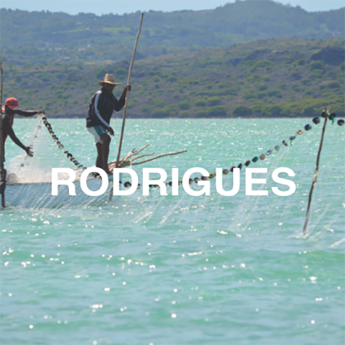 indalo_rodrigues