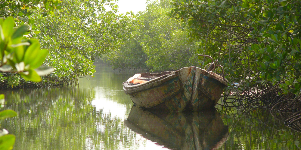 Indalo_Senegal_Guide_bolong
