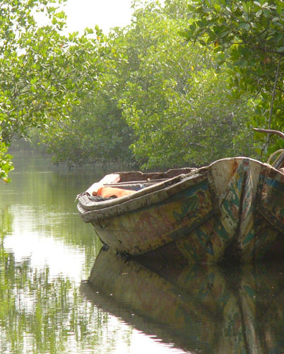 Indalo_Senegal_Casamance-bolong