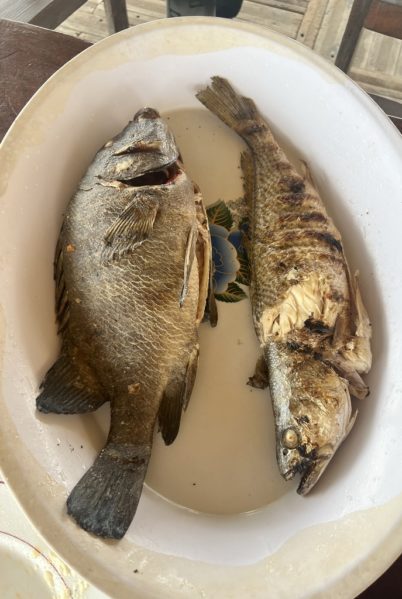 Indalo_Senegal_Casamance-poissons