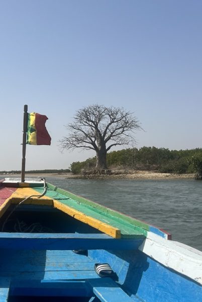 Indalo_Senegal_Saloum-baobab