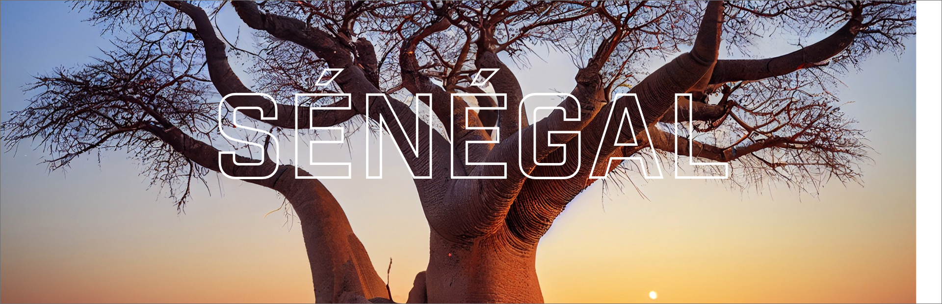 indalospace Sénégale banner