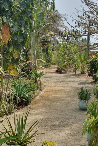 Indalo_Senegal_Fred-jardin4