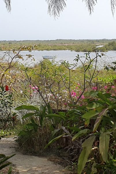 Indalo_Senegal_Fred-terrasse