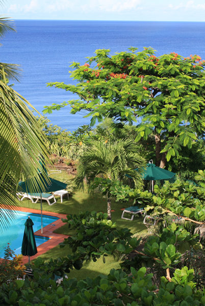 Indalo_Dominique_Tamarind Tree_Pool-2