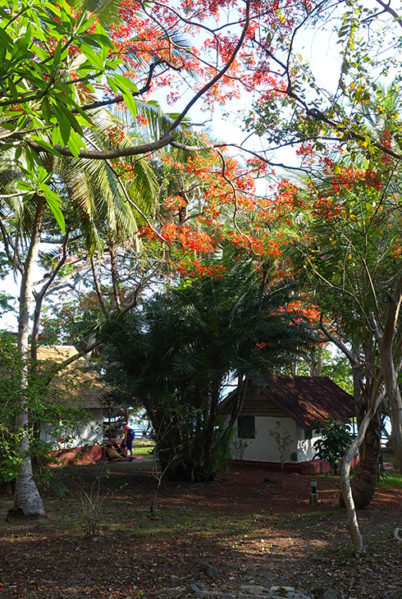 Indalo_Mayotte_Jardin Maore_Jardin