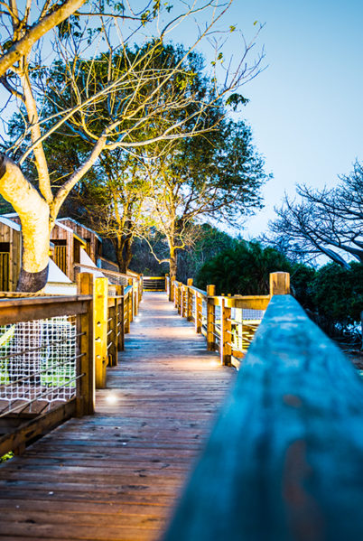 Indalo_Mayotte_O'loloBungalows