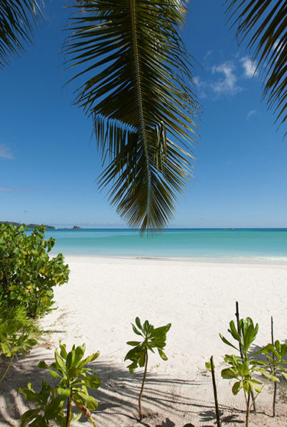 Indalo_Seychelles_Acajou_Beach-2