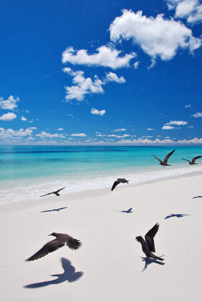 Indalo_Seychelles_Bird Island_Beach-4