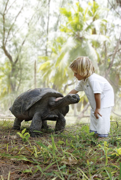 Indalo_Seychelles_Four Seasons Desroches_Jardin