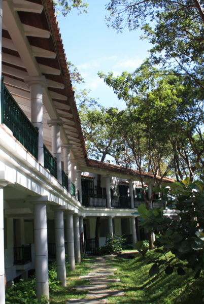 Indalo_Cuba_Moka_Jardin