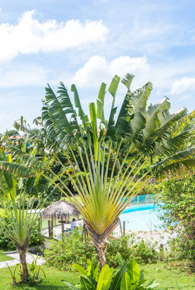 Indalo_Martinique_Cayalines_General-View