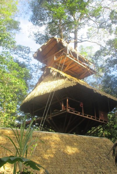 Indalo_Guyane_Canopee_General view2