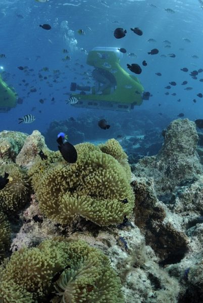 Indalo_Polynesie_Activites_Bora Bora_Aquabike1