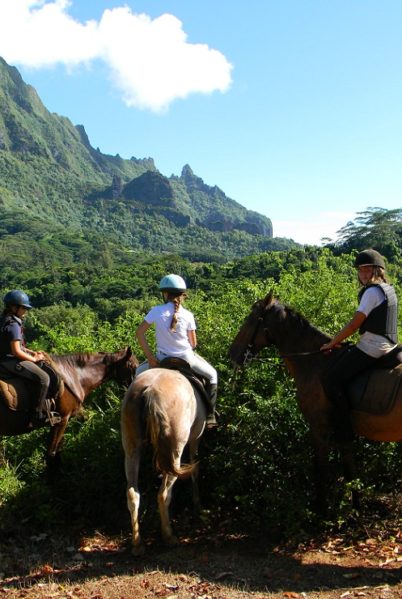 Indalo_Polynesie_Activites_Moorea_Cheval1