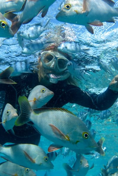 Indalo_Polynesie_Activites_Rangiroa_Snorkeling