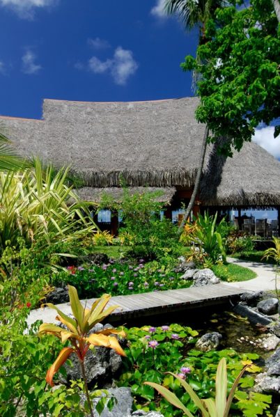 Indalo_Polynesie_Rangiroa_Maitai_Jardin